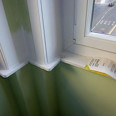 Home renovation - Office III. 12
