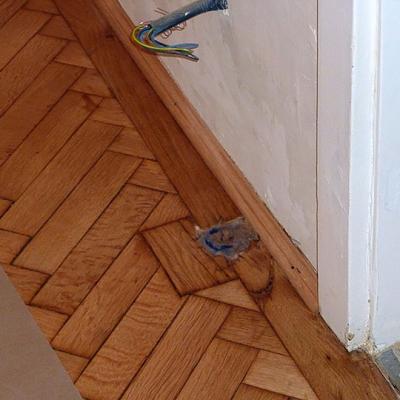 Home renovation - Hall 17